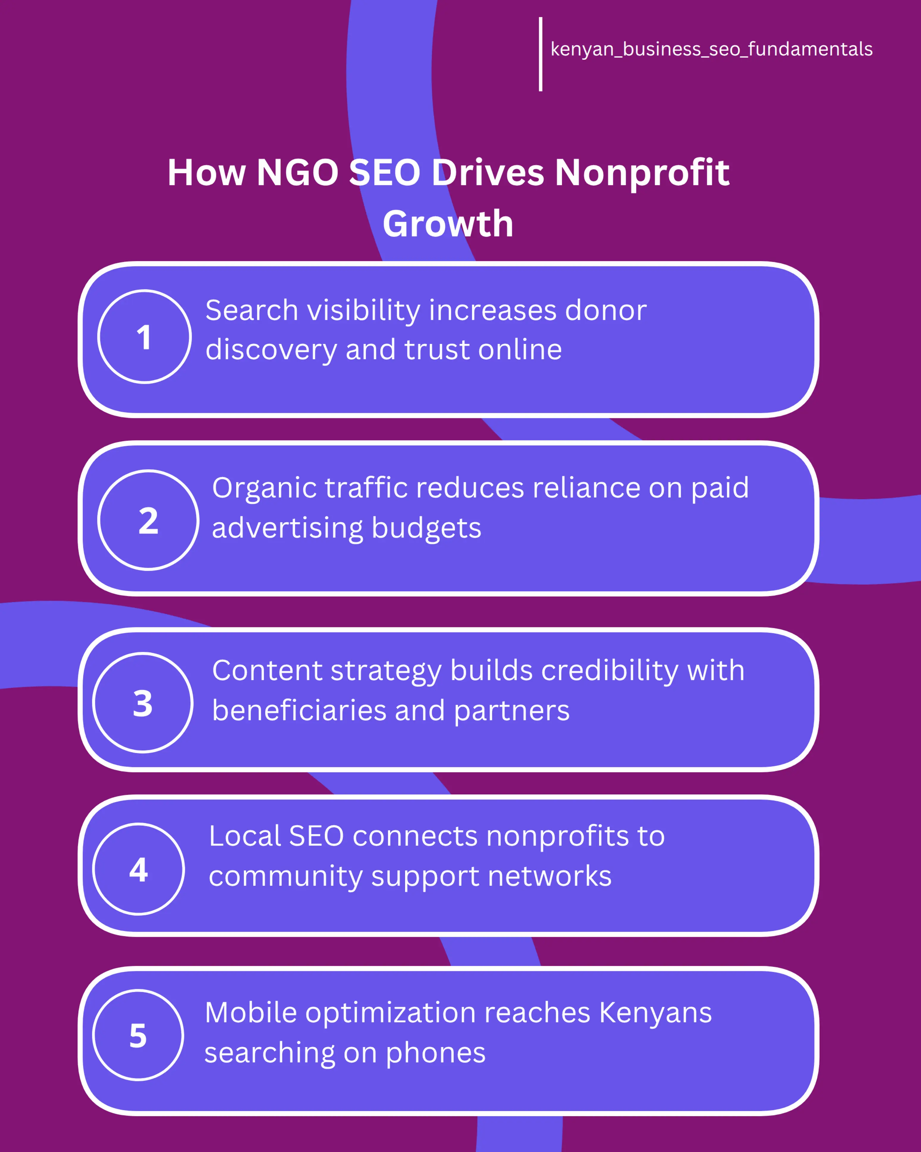 ngo seo kenya infographic
